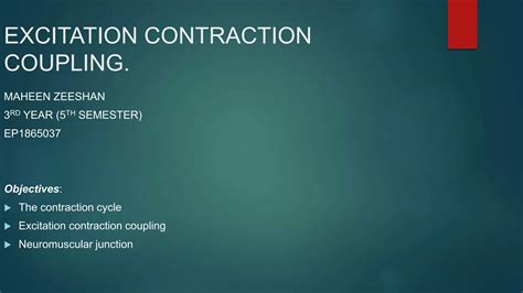 Image result for Excitation-Contraction Coupling Process