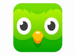 Image result for Duolingo App Icon