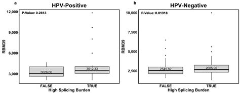 Indisulam Shows an Anti-Cancer Effect on HPV+ and HPV− Head and Neck Cancer