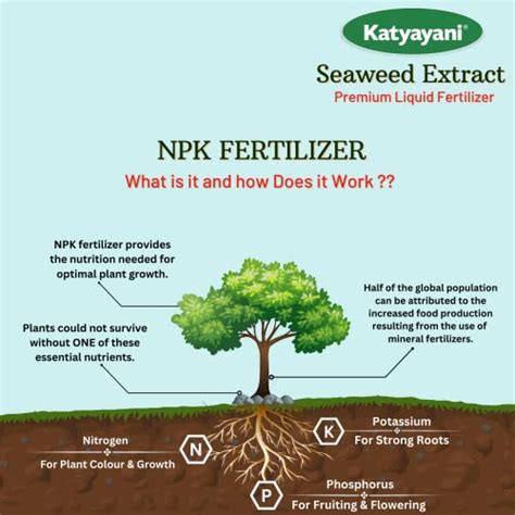 Katyayani Seaweed Liquid Extract Water Soluble | Organic Plant Growth ...