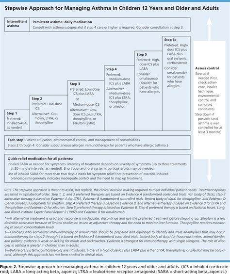 Medications for Chronic Asthma | AAFP