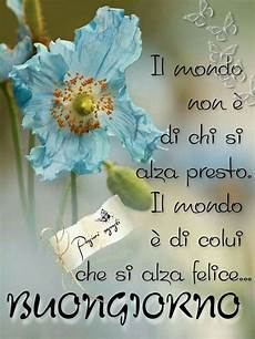 frasi e fiori il mio buongiorno come l astro mattino mi d 224 il frasi e fiori il mio buongiorno come l astro mattino mi d 224 il