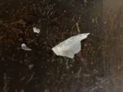 Glass shard found inside meal at Bhopal’s Jehan-numa Palace hotel