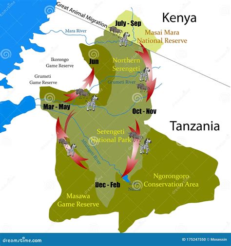 Kenya Tanzania Great Animal Migration Vector Stock Vector - Illustration of reserve, africa ...