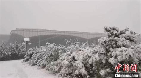 山西大范围降雪 太铁急增列车运送因降雪受阻旅客