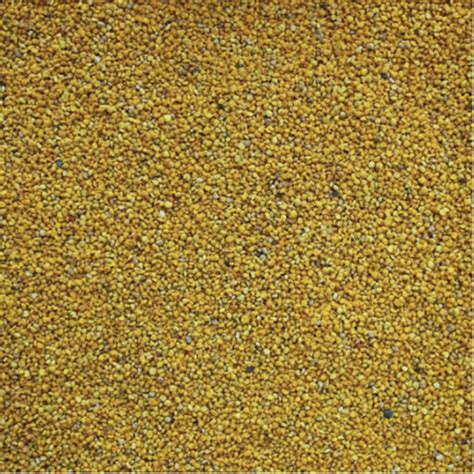 Organic Bee Pollen, Spanish - OrganicPoint