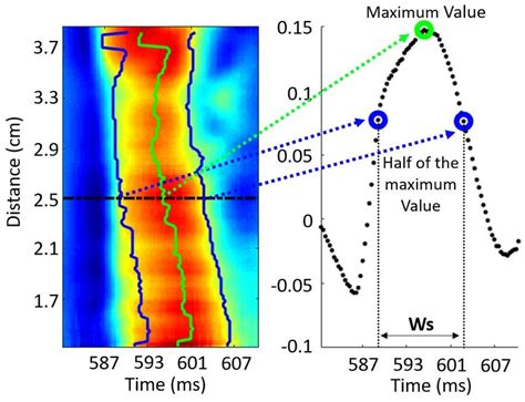 Parameter Estimation Example 的图像结果