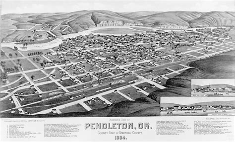 pendleton 的图像结果