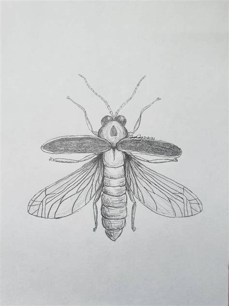 How To Draw Fireflies