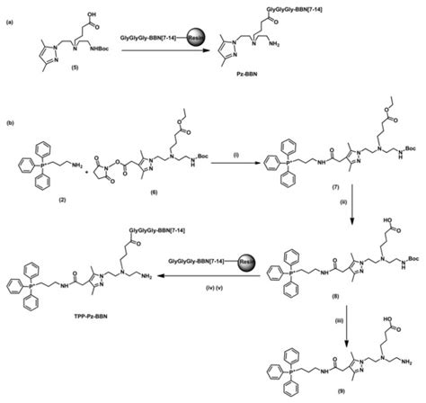 Synthesis and Biological Evaluation of 99mTc(I) Tricarbonyl Complexes ...