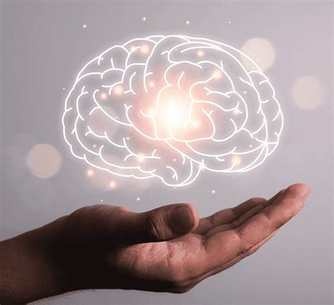 RACE Innovations | Automotive Intelligence & ODC Reports