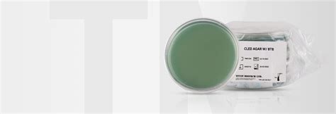 TCBS Agar for Vibrio Species: Principles and Practices - TM Media