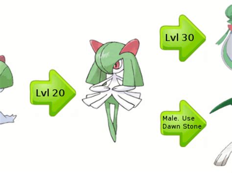 Pokemon Gold Evolution Chart 的图像结果