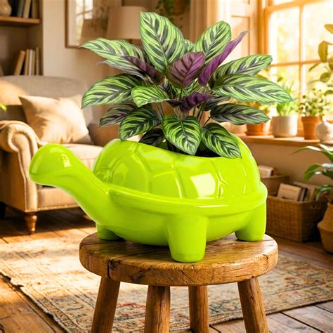 Tortoise Plastic Pot, Unique & Charming Decorative Planters for Indoor ...