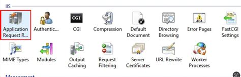 Image result for Set Up a Reverse Proxy Server Using IIS