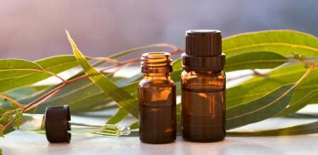 ¡Olvida los medicamentos! Estos 10 aceites esenciales son el mejor ...