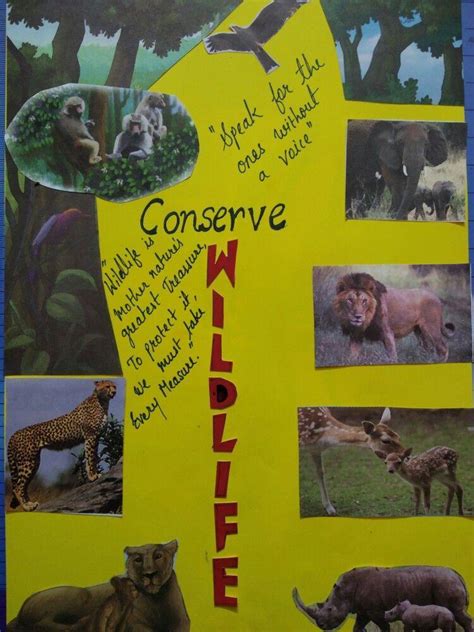 It pains you to see children pelting stones at stray dogs or troubling ...