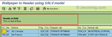 SALV Table 10 - Editable SALV Model (Overcome the restriction of SALV ...