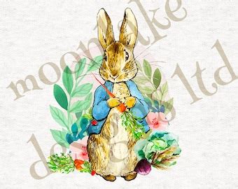 Image result for Rabbit SpO2
