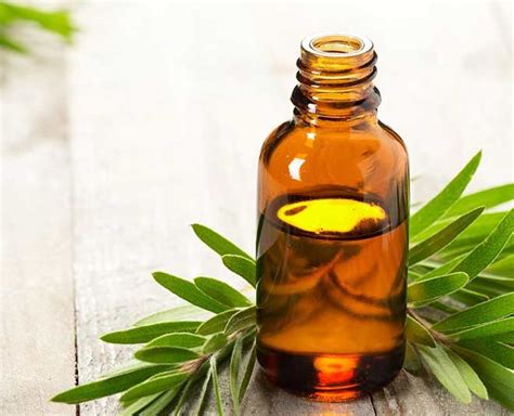 Tired Of The Acne And Rashes On Your Back? Say Bye To Bacne With These ...