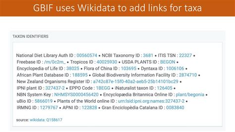 Image result for Wikidata Graph
