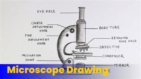 Image result for How to Draw a Microscope