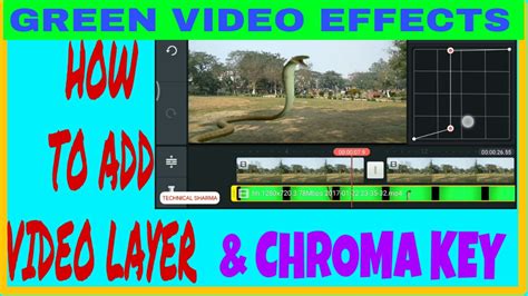 Kinemaster Green screen 的图像结果