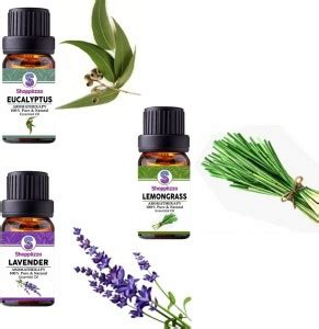 Shoppitzzo EUCALYPTUS,LAVENDER,LEMONGRASS-100% Pure & Natural Essential ...