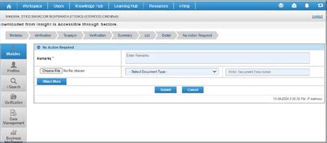 Guidelines for Handling High-Risk PAN Cases in Insight Portal