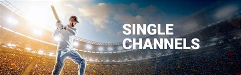 Select Your Favourite Channels with Dish TV's Single Channel Packages