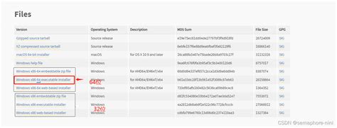 Installing Python 3.9 的图像结果