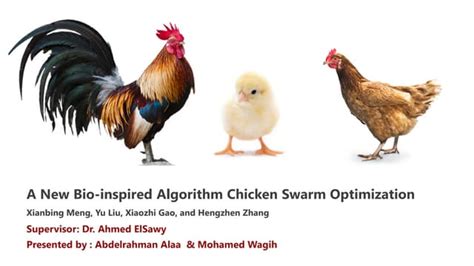 Image result for Chicken Swarm Optimization Algorithm