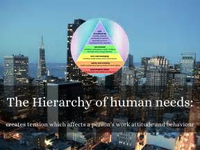 Image result for Behavioral Management Approach