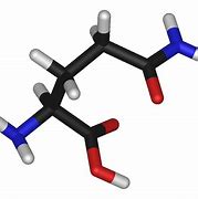 Image result for Glutamine Amino Acid