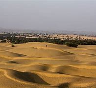 Image result for Thar Desert Interesting Facts