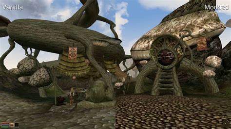 Image result for How to Install Morrowind Script Extender