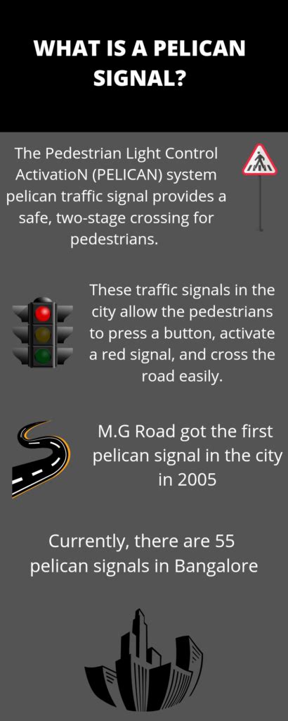 Not all Pelicans squawk in the city – The Softcopy