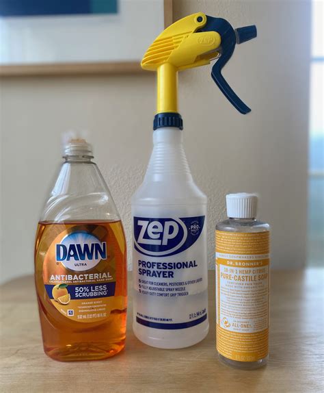 The 5 Best DIY Home Remedy Treatments for Ants — Pest & Pollinator