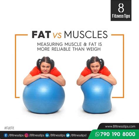 Fats Vs Muscles: Understanding the difference - 8 Fitness Tips