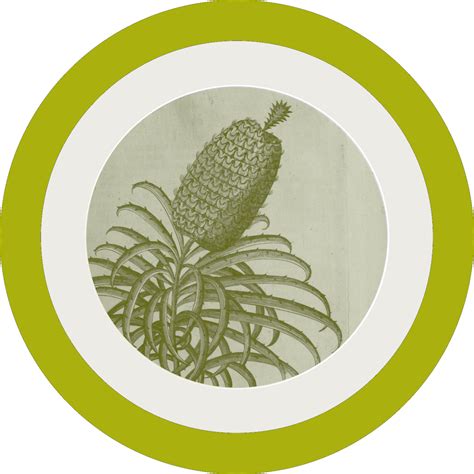 One Fruit - the memory palace