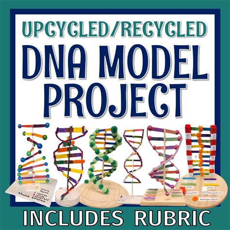 Image result for DNA Build