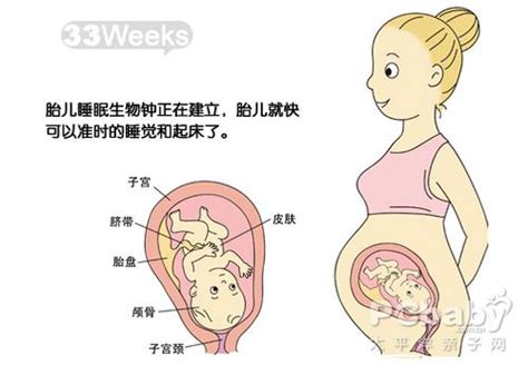 怀孕31周日常起居及胎儿发育 - 孕期检查 - 蓝灵育儿网