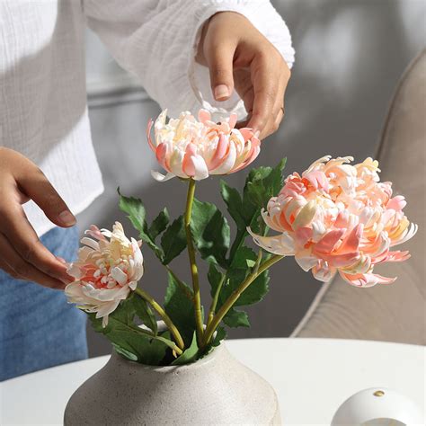 Modern Quests - Shop For Premium Homeware & Lifestyle Accessories