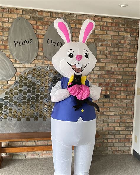 Al-Van Humane Society (@alvanhumane) • Instagram photos and videos