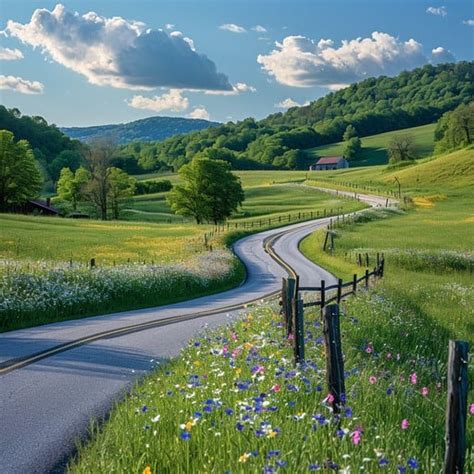 Country Road 的图像结果