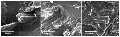 A Thermic Effect on Degradation Kinetics of Sugar Cane Bagasse ...