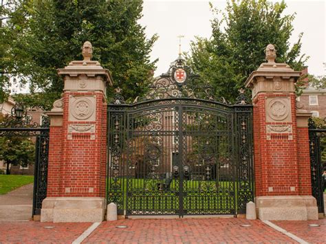 Cassandra Coleman - The Brown Daily Herald