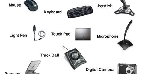 Input Device 的图像结果