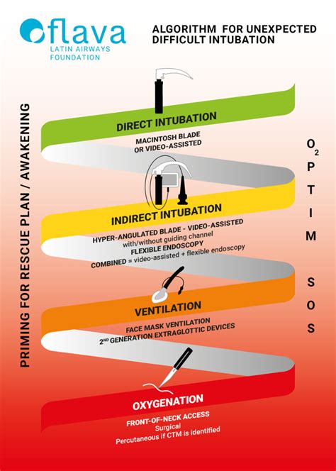 Image result for Intubation Algorithm