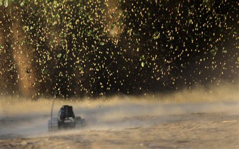 Image result for Combat Robots Exploding